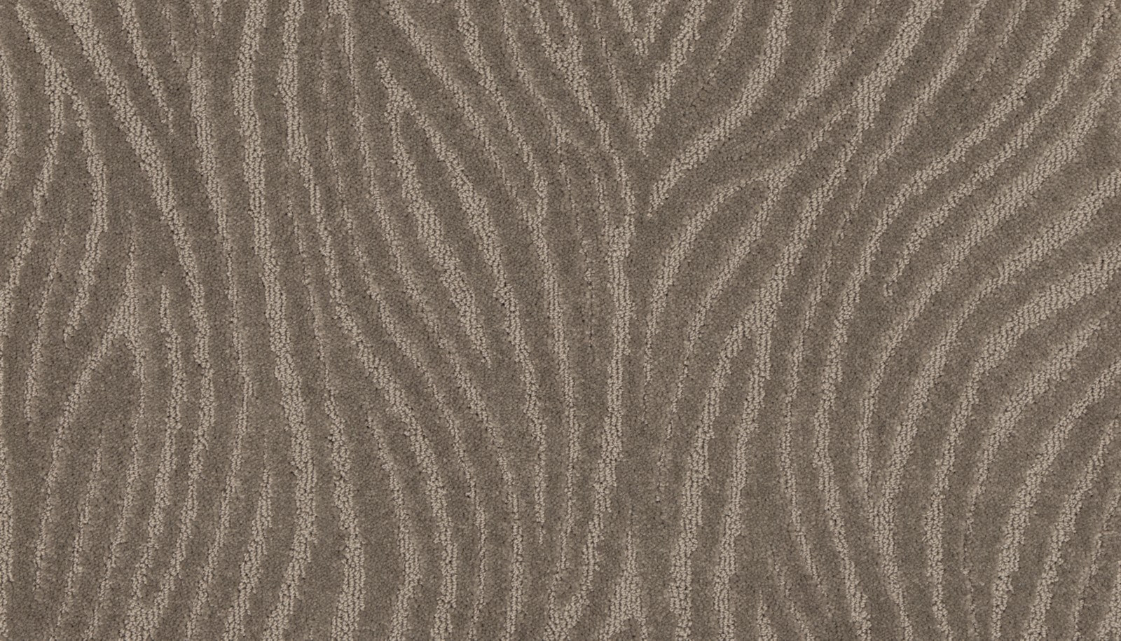Mohawk Distinct Flair in Galley, Carpet product detail