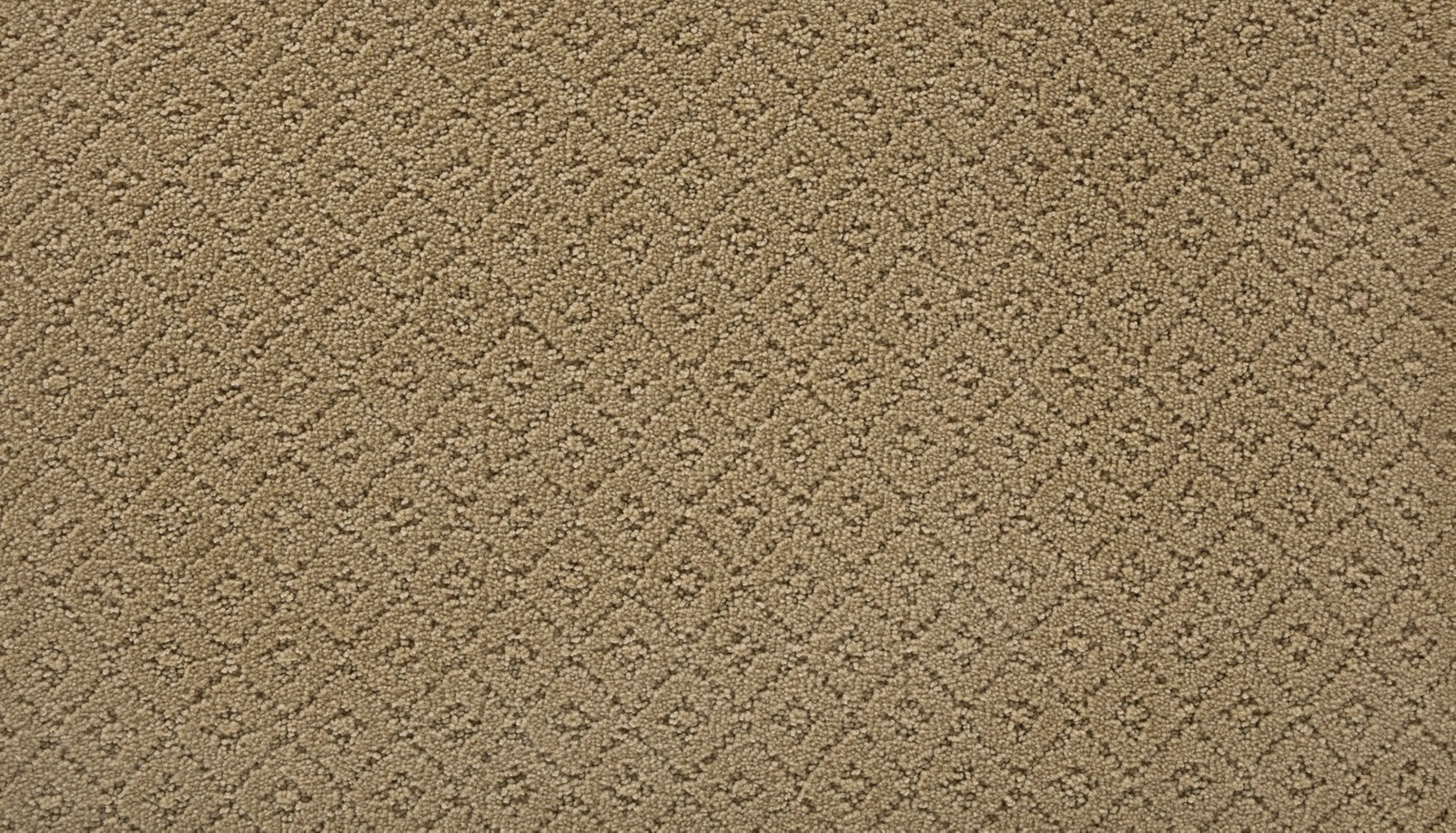 Mohawk Remarkable Elegance in Homegrown, Carpet product detail