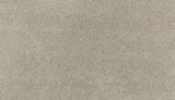 Mohawk Polished Shades II Carpet