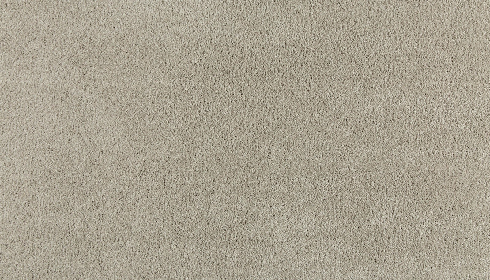 Mohawk Polished Shades II in Frosted Honey, Carpet product detail