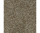 Mohawk Polished Shades II Carpet