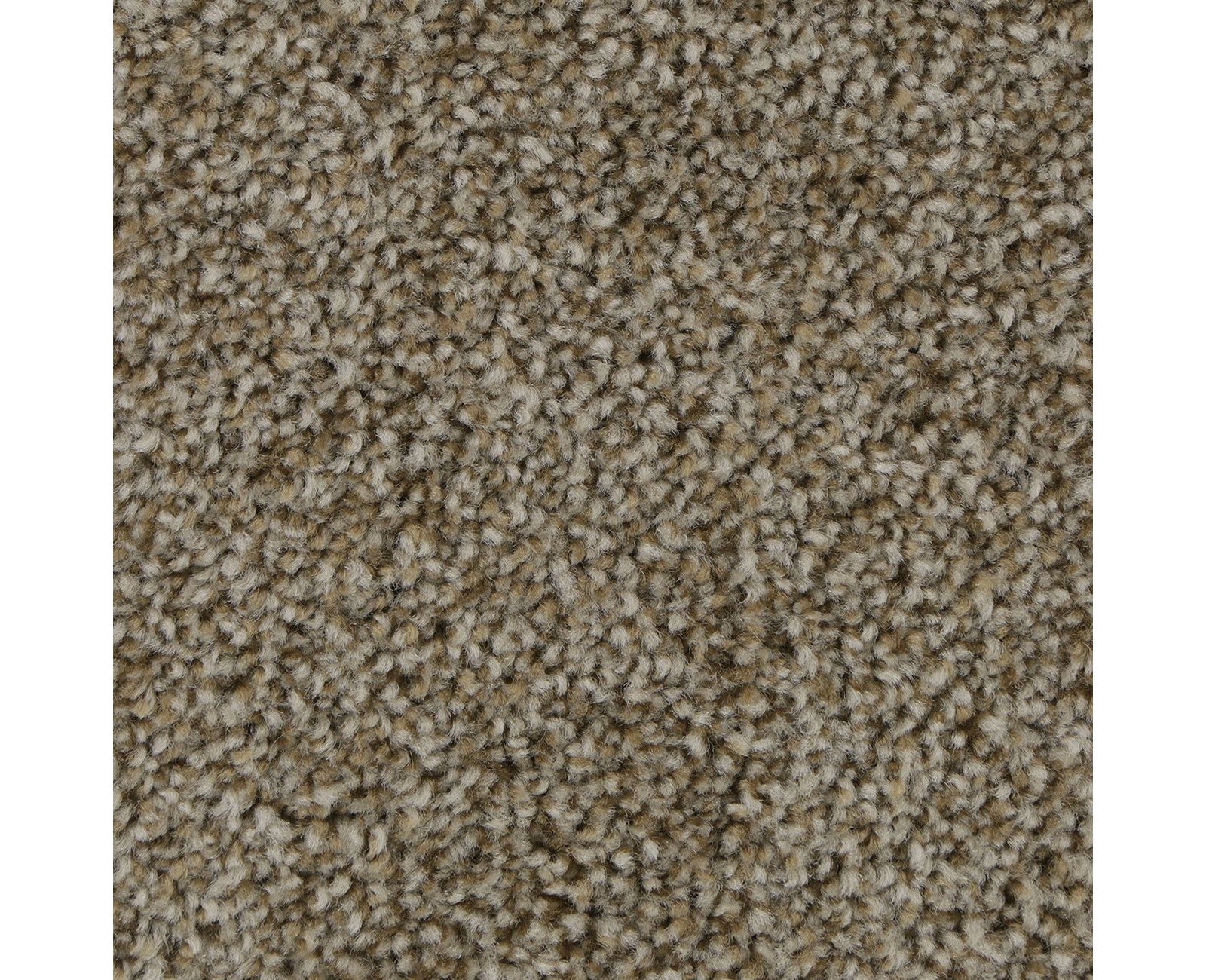 Mohawk Polished Shades II in Hickory Tan, Carpet product detail