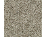 Mohawk Polished Shades II Carpet