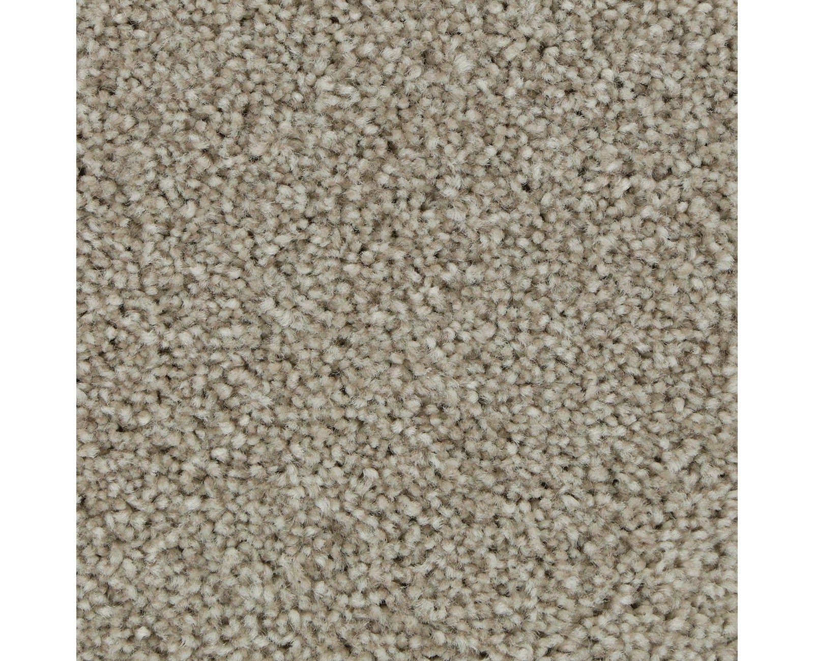 Mohawk Polished Shades II in Cypress, Carpet product detail