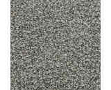 Mohawk Polished Shades II Carpet