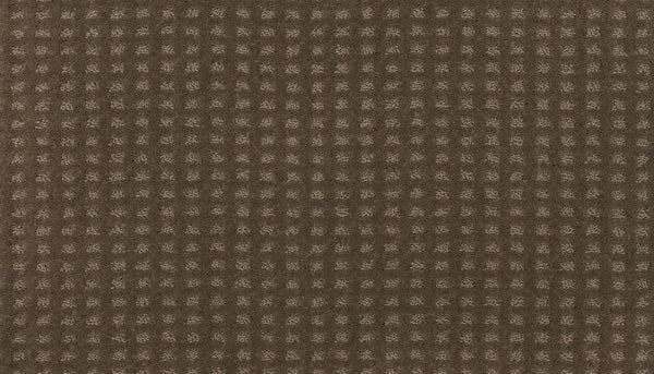 Mohawk Outstanding Artistry Carpet