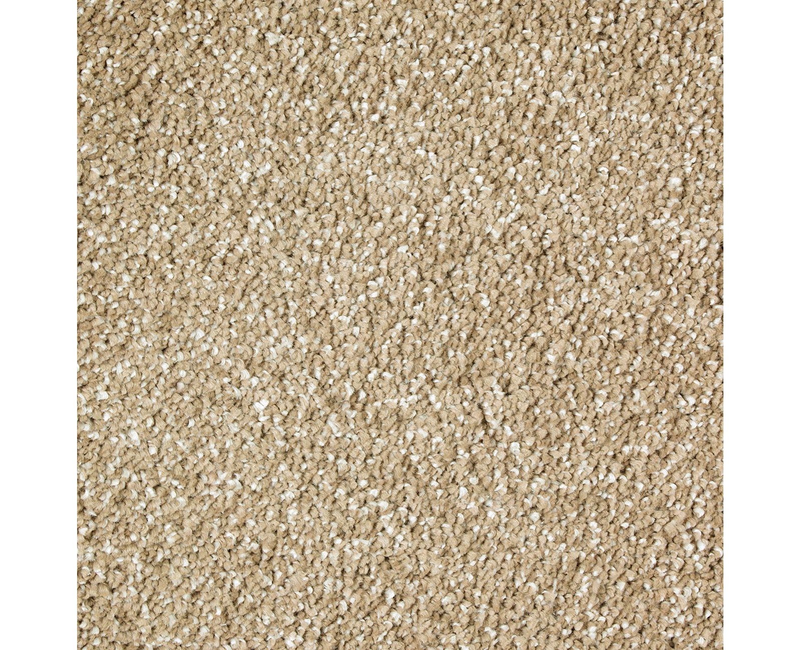 Mohawk Exquisite Shades in Timeless, Carpet product detail