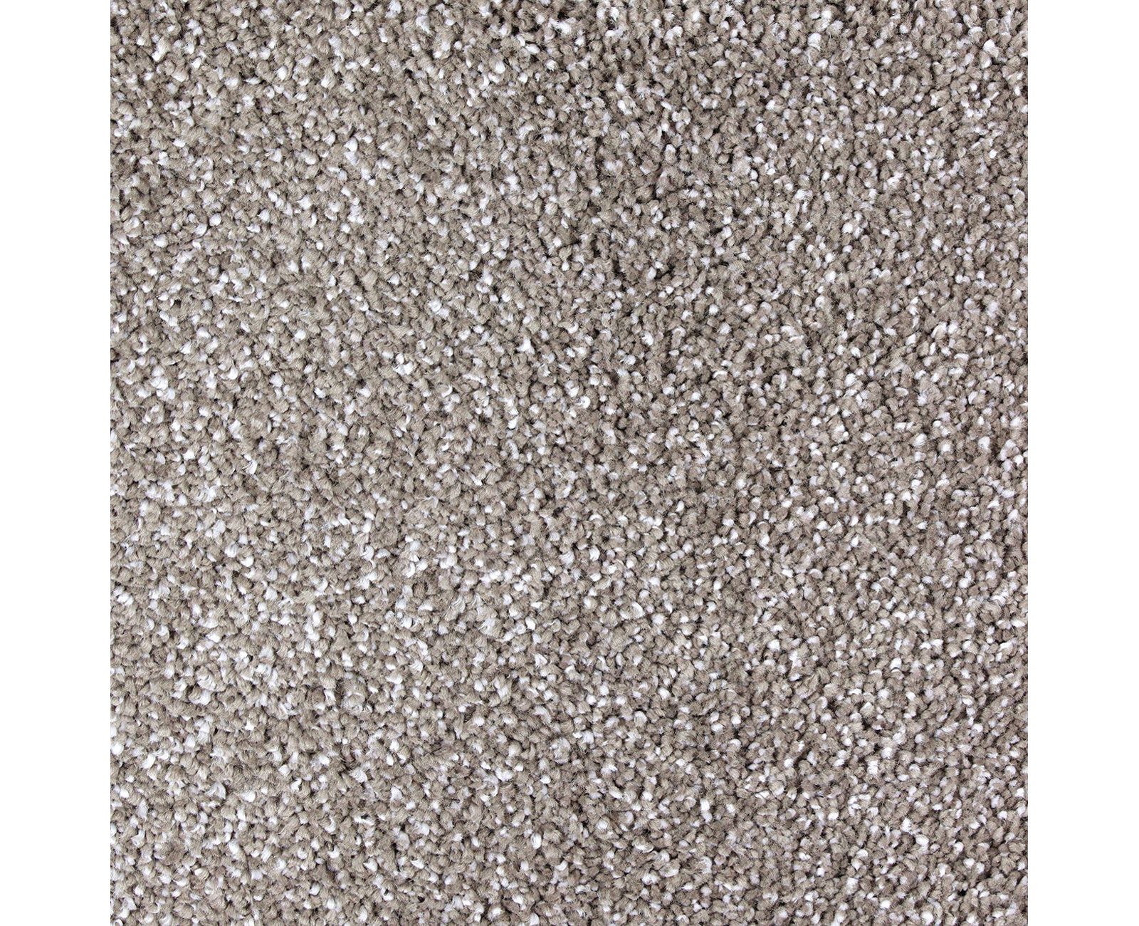 Mohawk Exquisite Shades in Garden Bramble, Carpet product detail