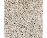 Mohawk Perfect Attraction Carpet