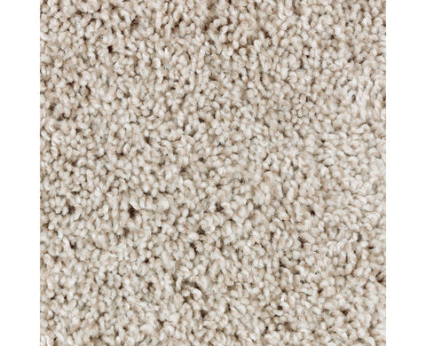 Mohawk Perfect Attraction Carpet
