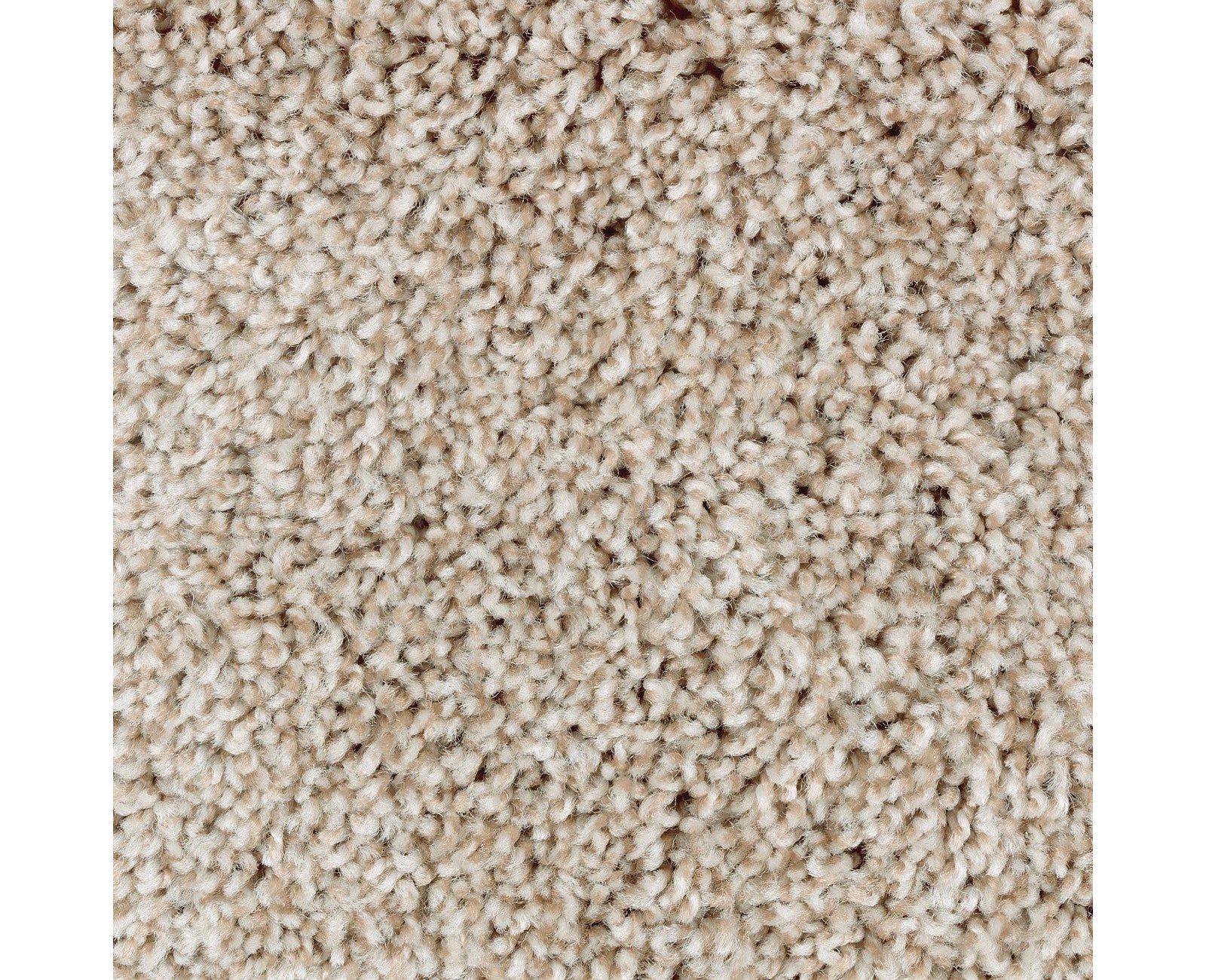 Mohawk Perfect Attraction in Thatch Roof, Carpet product detail