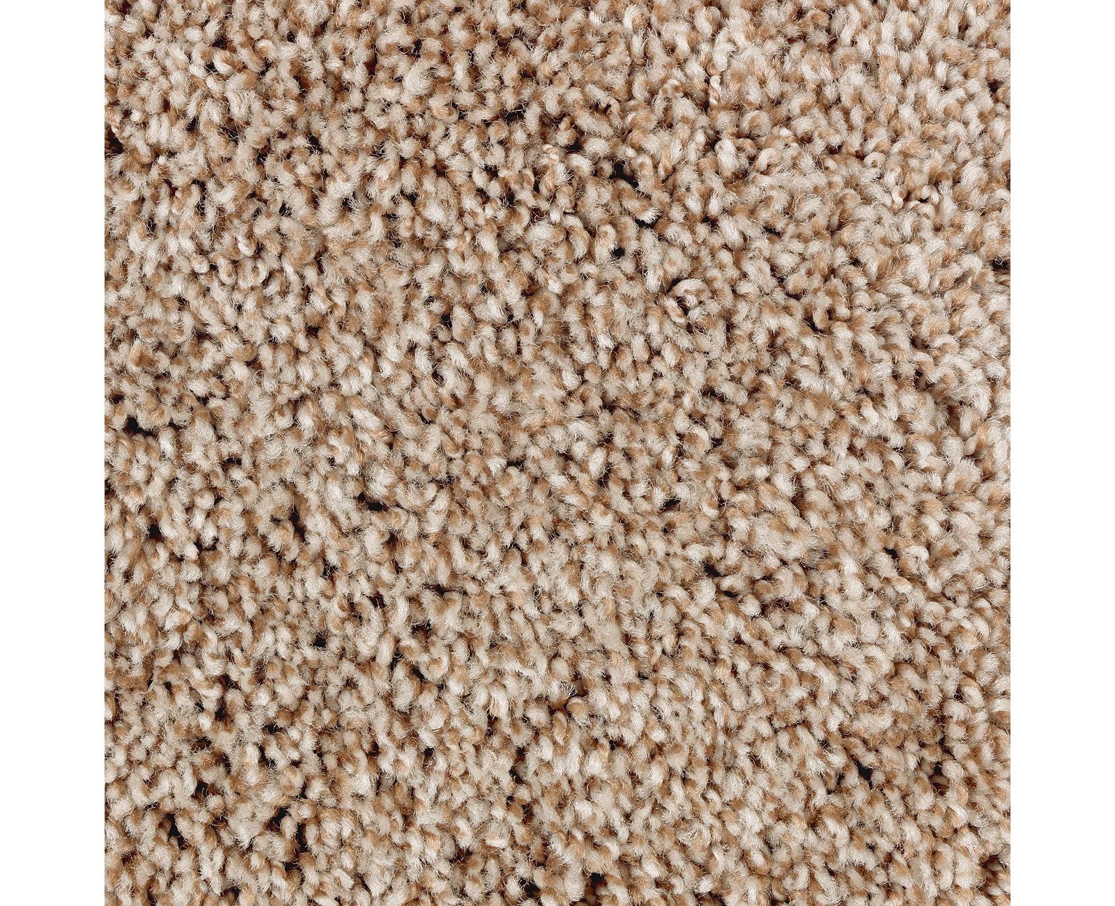 Mohawk Perfect Attraction in Wilderness, Carpet product detail