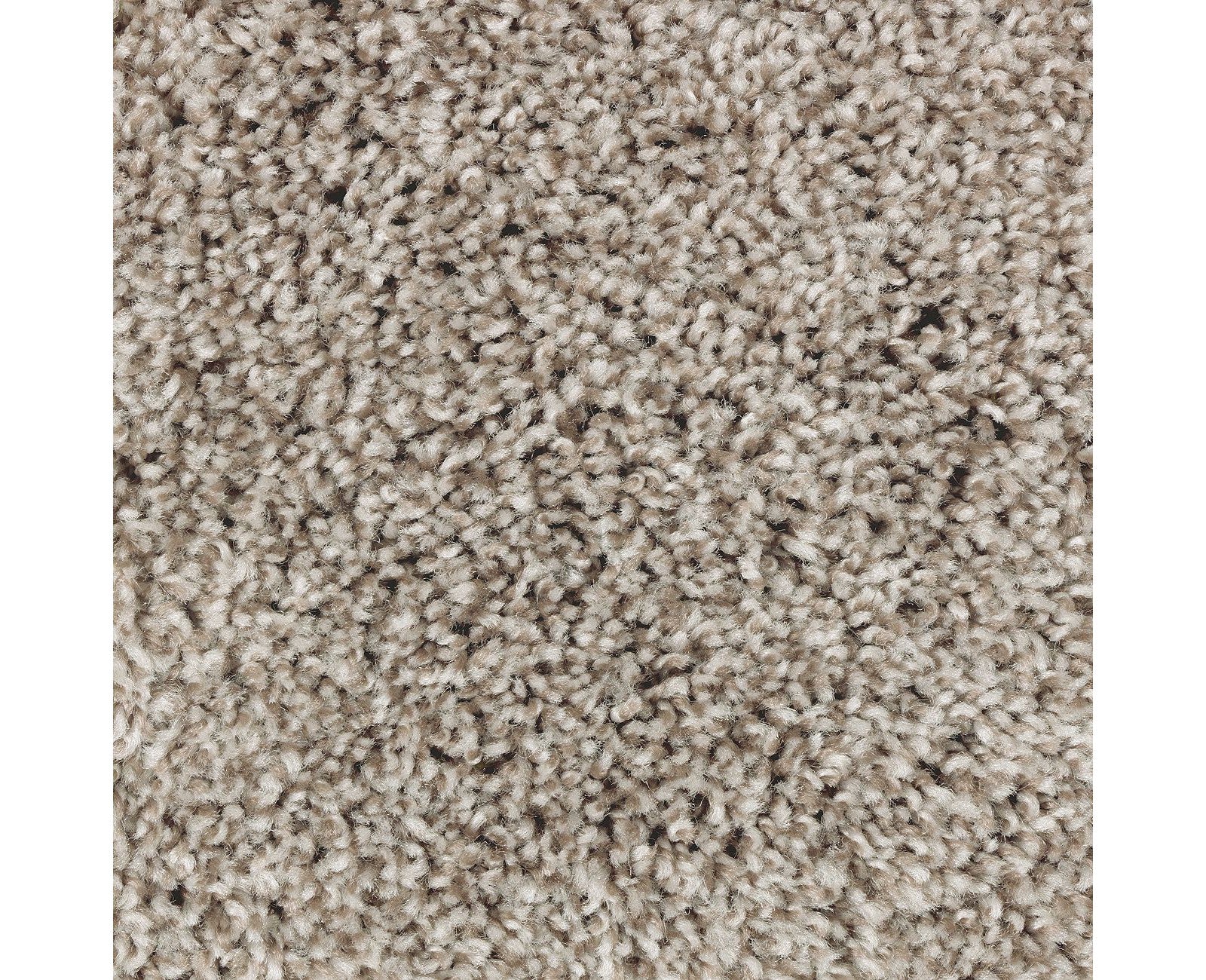Mohawk Perfect Attraction in Fiddlewood, Carpet product detail