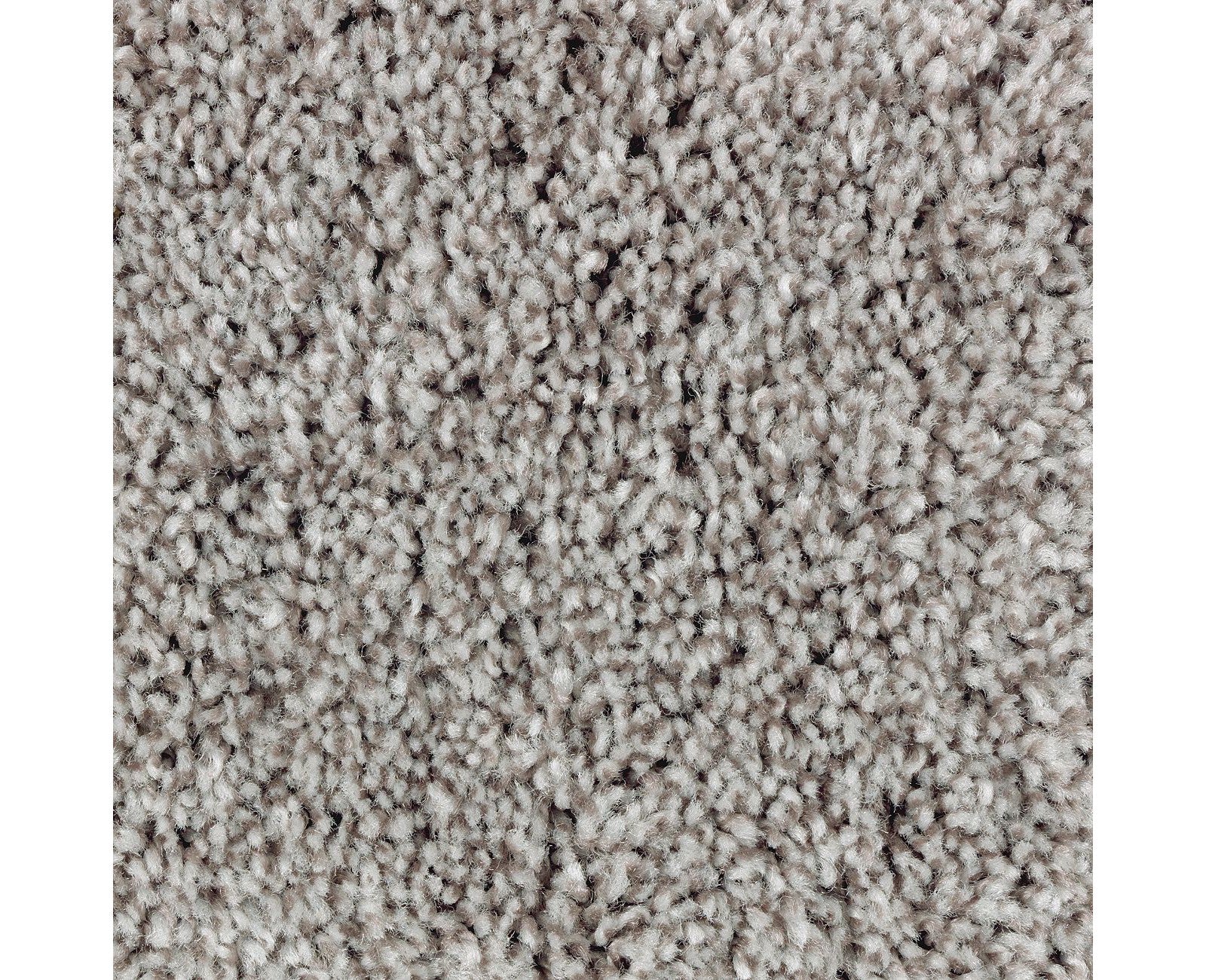 Mohawk Perfect Attraction in Meandering, Carpet product detail