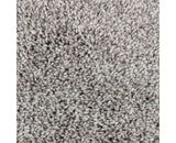 Mohawk Perfect Attraction Carpet
