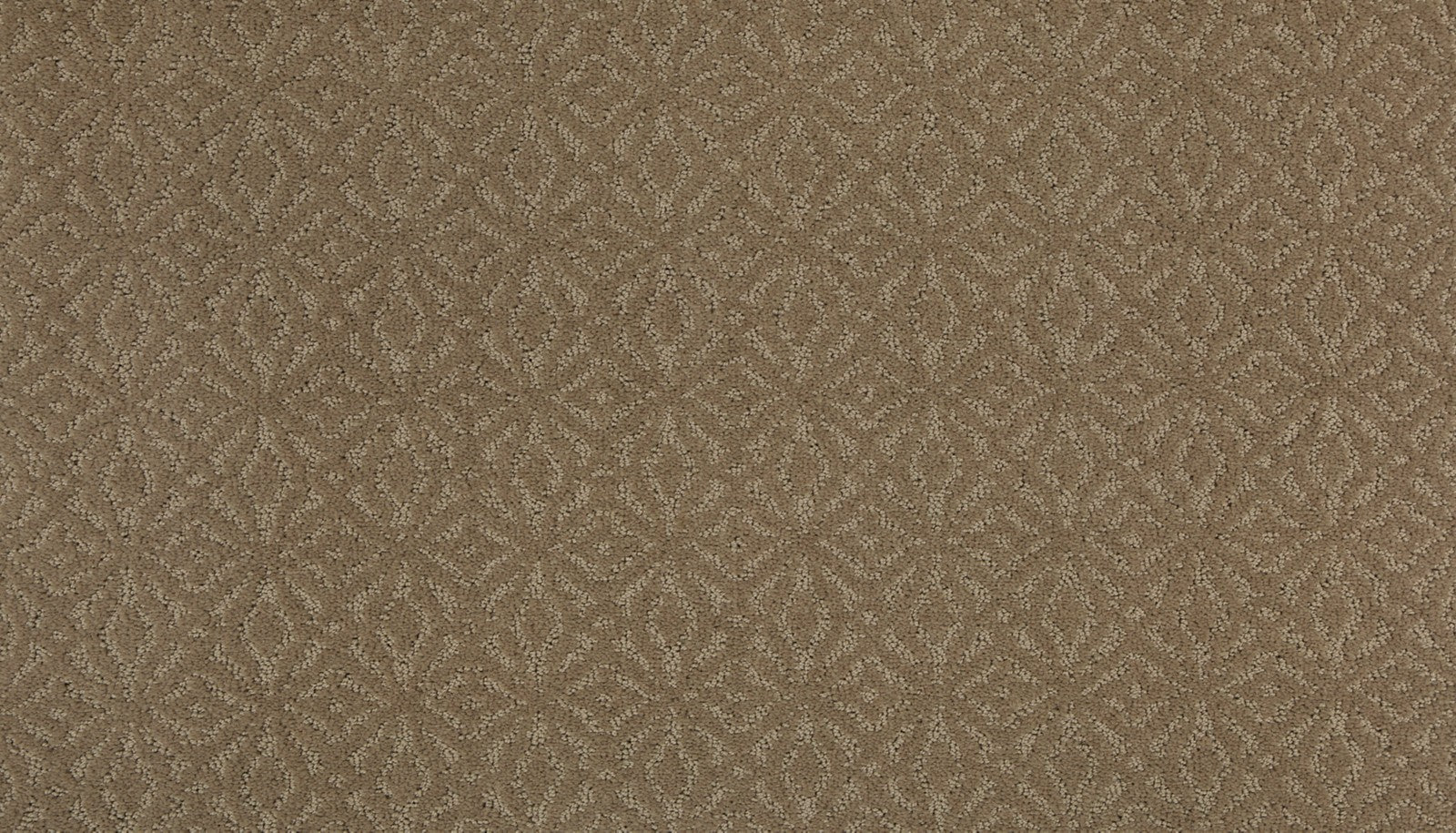 Mohawk Exquisite Charm in Clay Trail, Carpet product detail