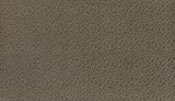 Mohawk Exquisite Charm Carpet