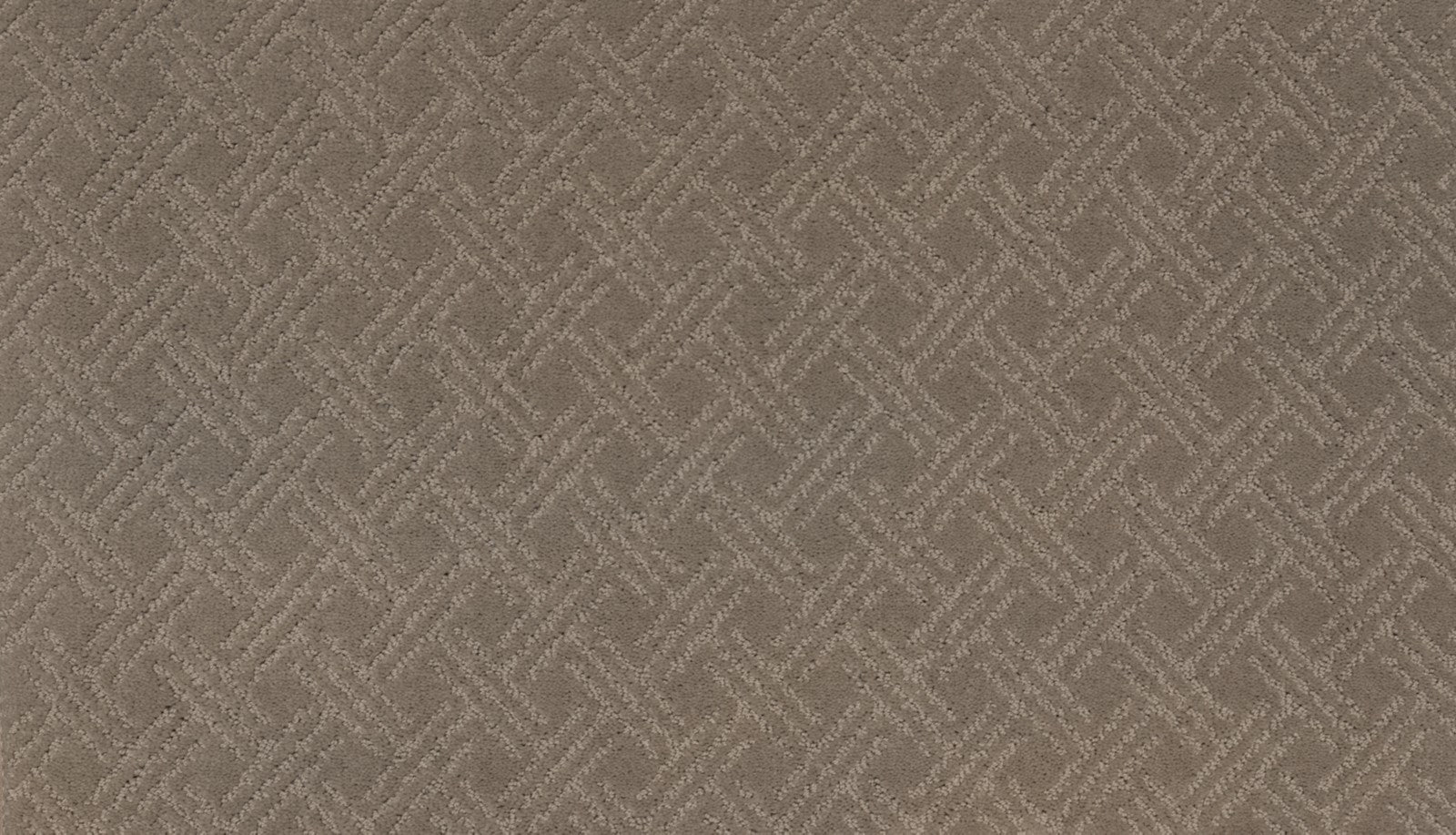 Mohawk Exquisite Touch in Ancient Oaks, Carpet product detail