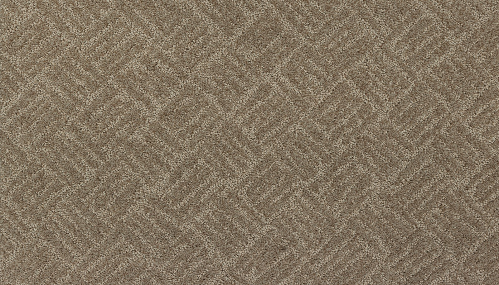 Mohawk Impressive Edge in Castle Grounds, Carpet product detail