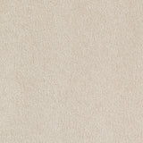 Mohawk Ideal Outlook Carpet