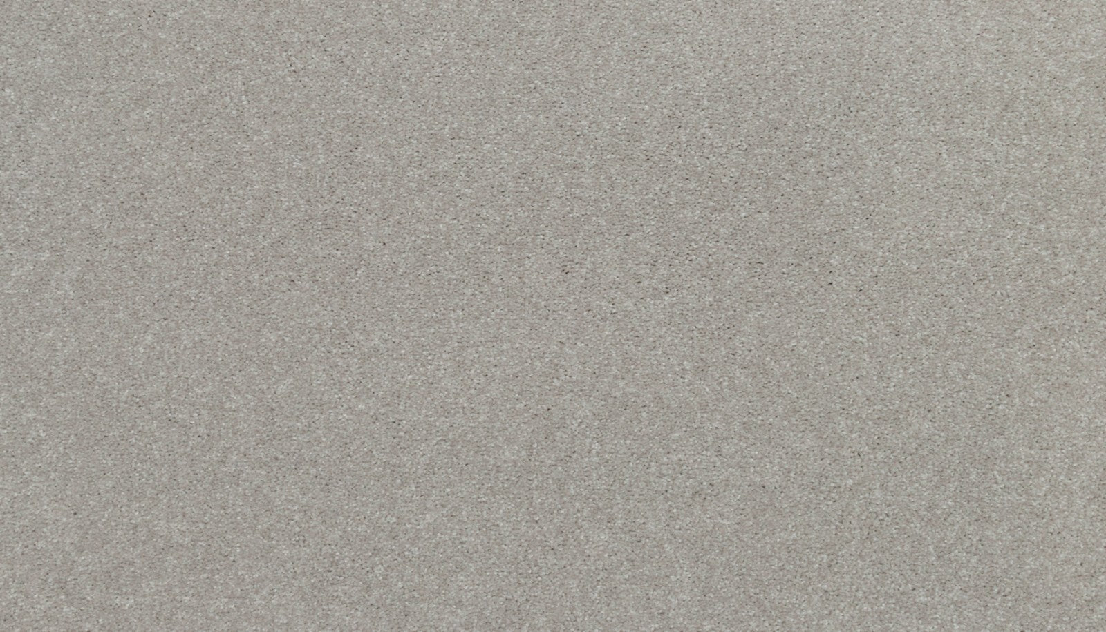 Mohawk Ideal Outlook in Warm Fog, Carpet product detail