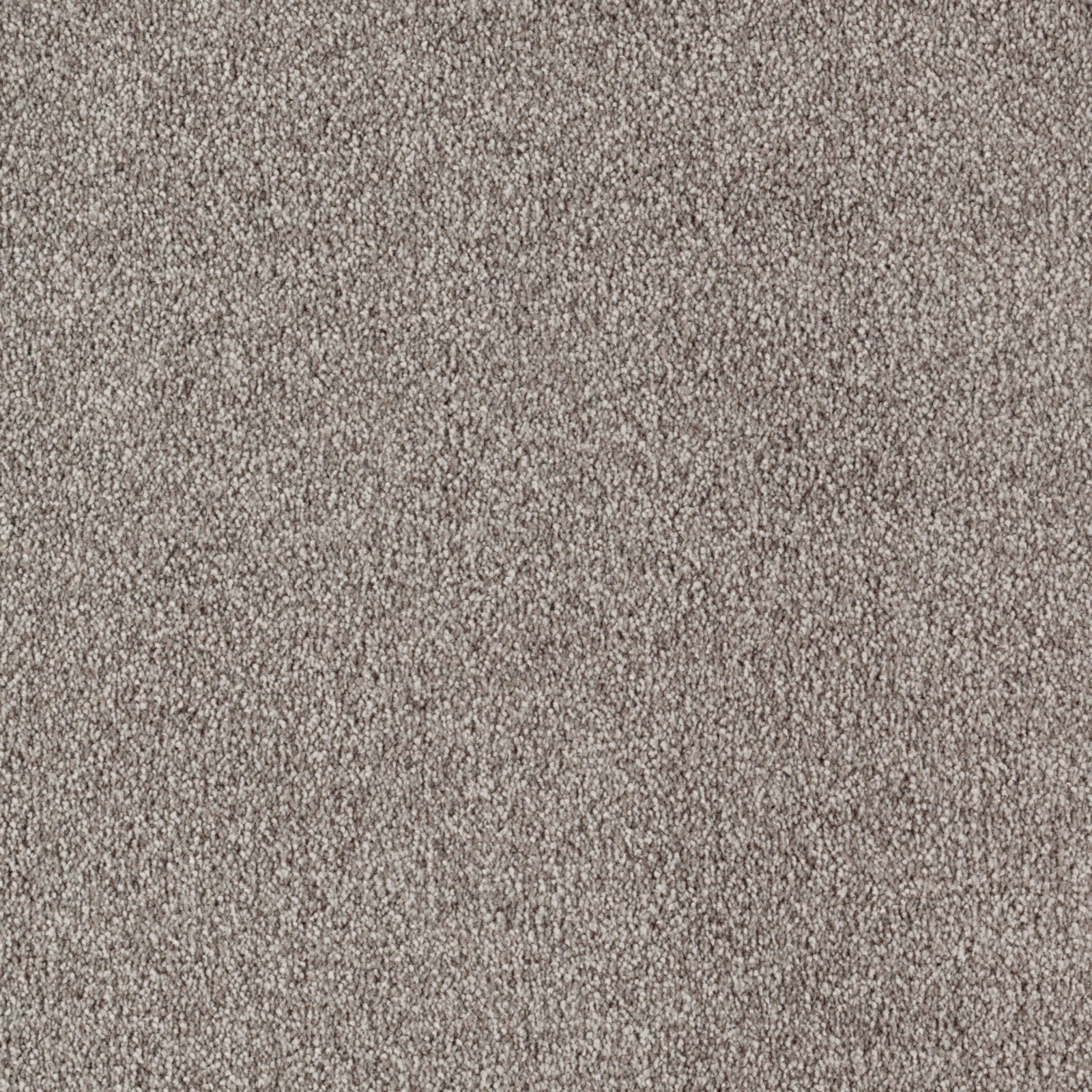 Mohawk Ideal Outlook in Espresso, Carpet product detail
