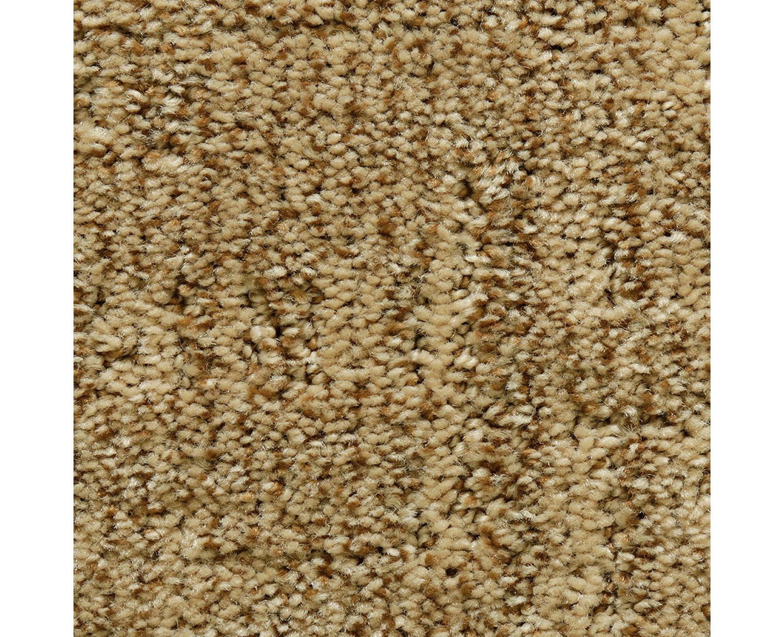 Mohawk Random Nature in Fresh Earth, Carpet product detail