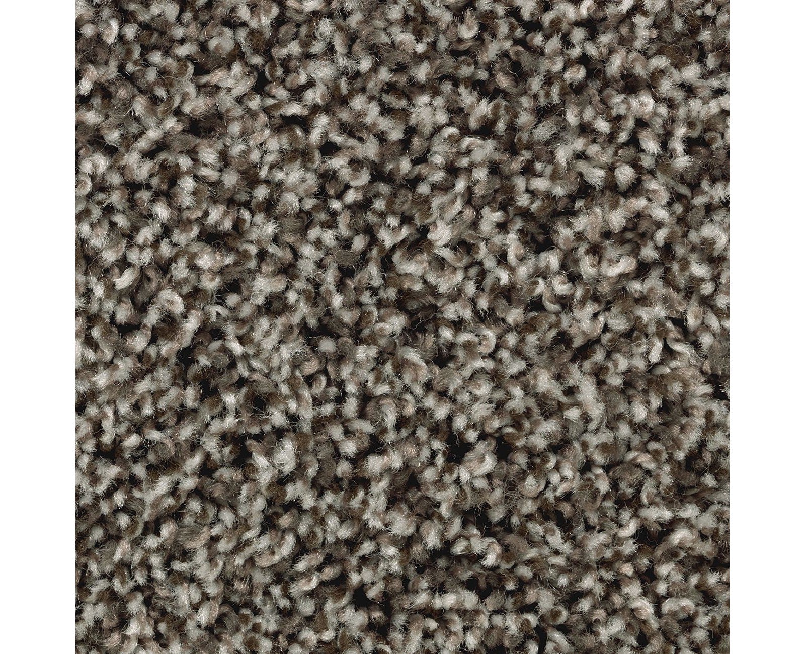 Mohawk Artist's Slate in Hawthorn, Carpet product detail