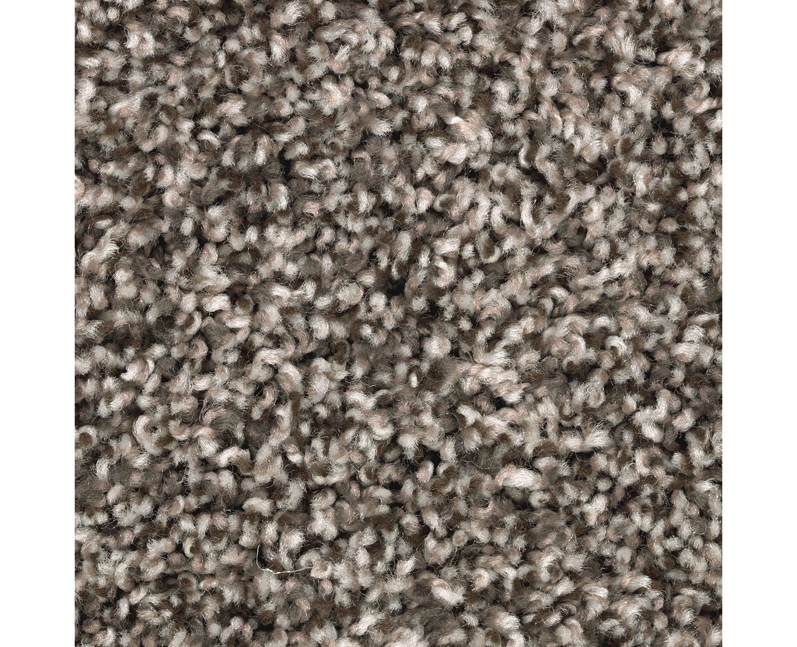 Mohawk Artist's Slate in Stonewood, Carpet product detail