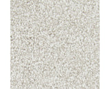 Mohawk Noteworthy Selection Carpet
