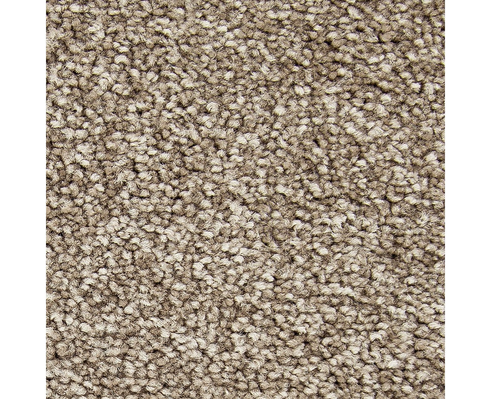 Mohawk Noteworthy Selection in Montego, Carpet product detail