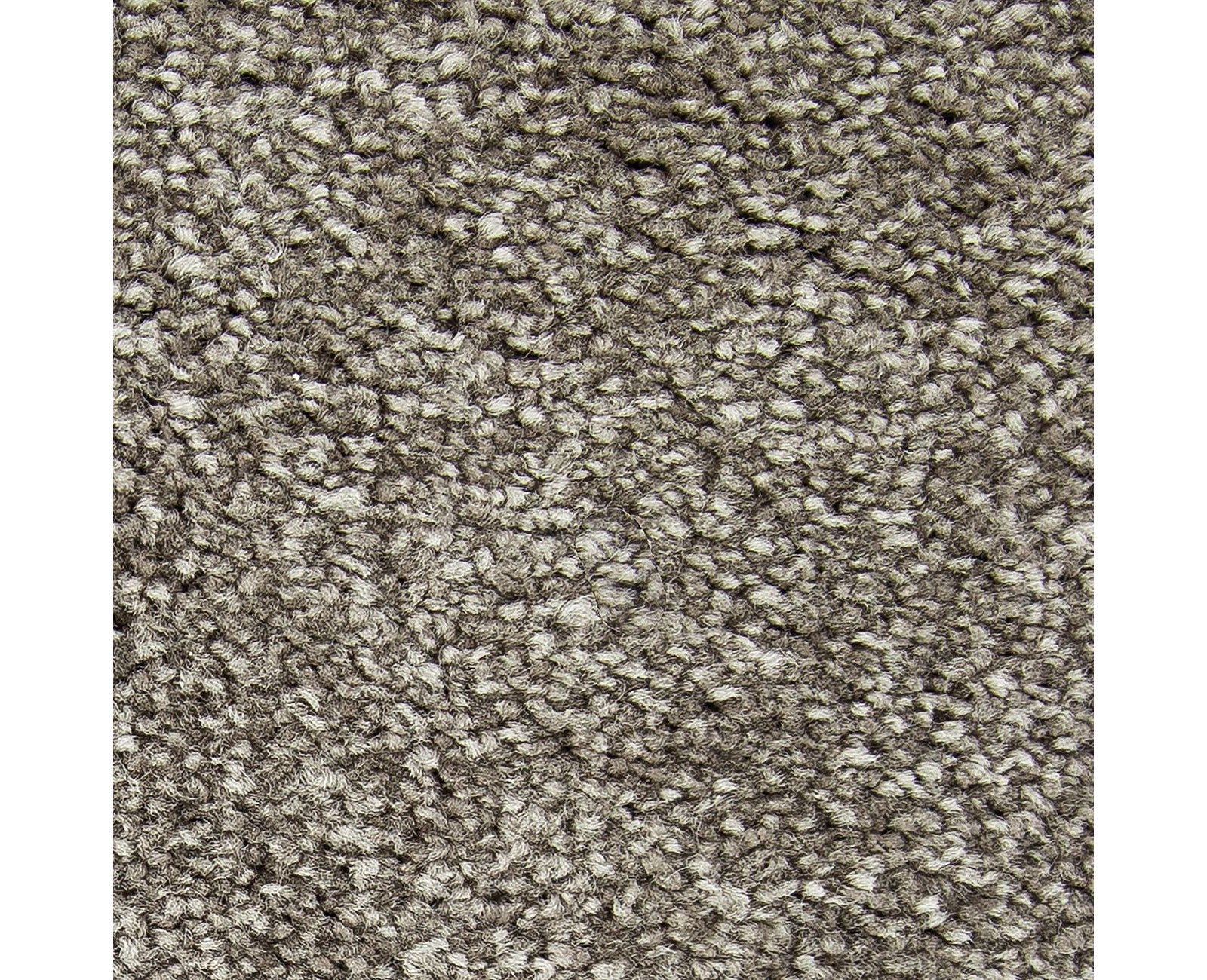 Mohawk Noteworthy Selection in Hearthstone, Carpet product detail