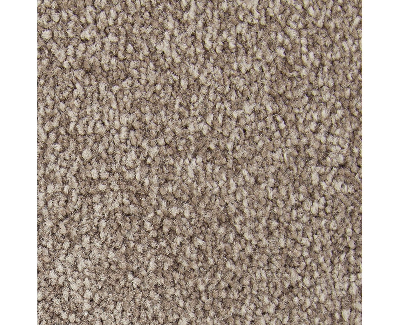Mohawk Noteworthy Selection in Tudor, Carpet product detail