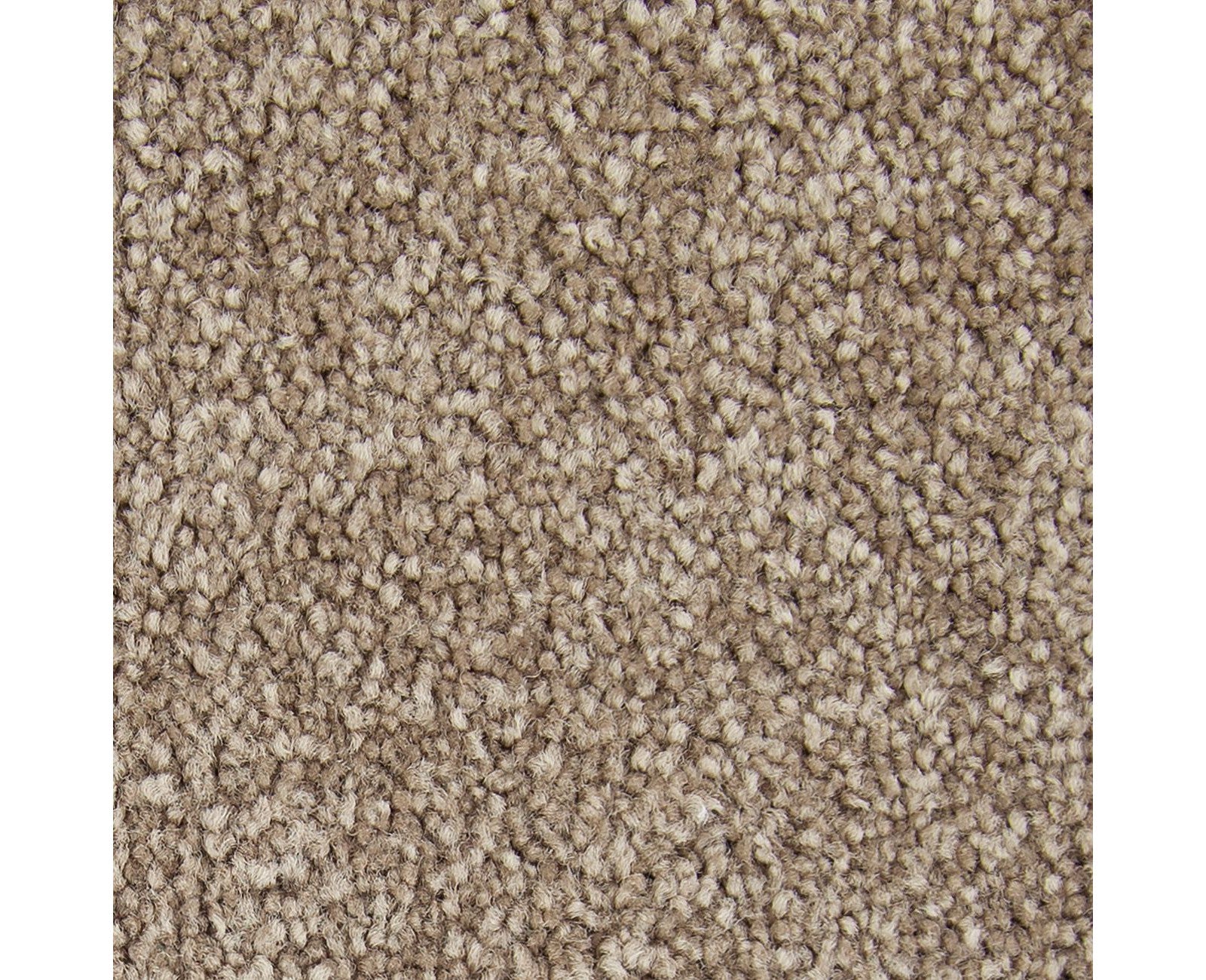 Mohawk Noteworthy Selection in Timberlane, Carpet product detail