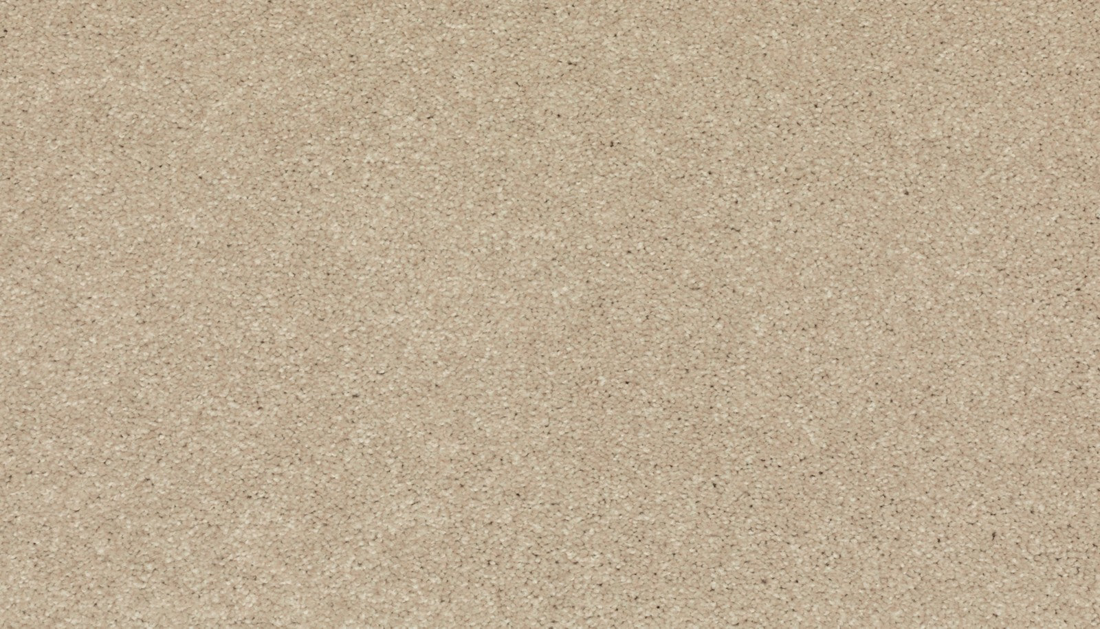 Mohawk Striking Option in Balsam Beige, Carpet product detail