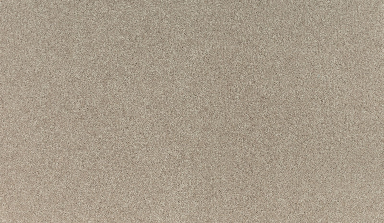 Mohawk Quality Living II in Haven, Carpet product detail
