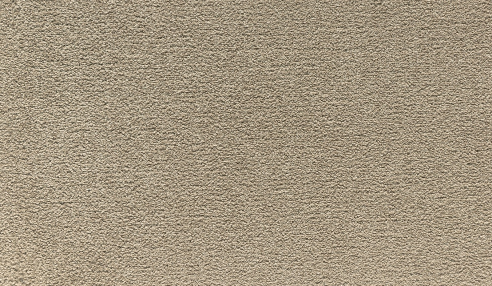 Mohawk Quality Life in Halo, Carpet product detail