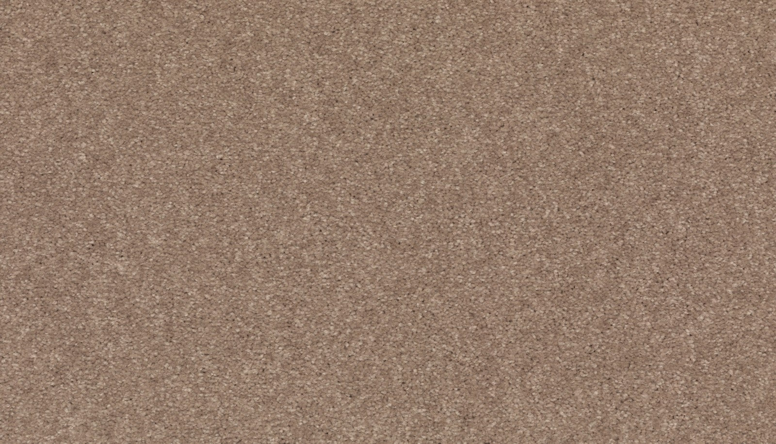 Mohawk Quality Life in Timeless, Carpet product detail