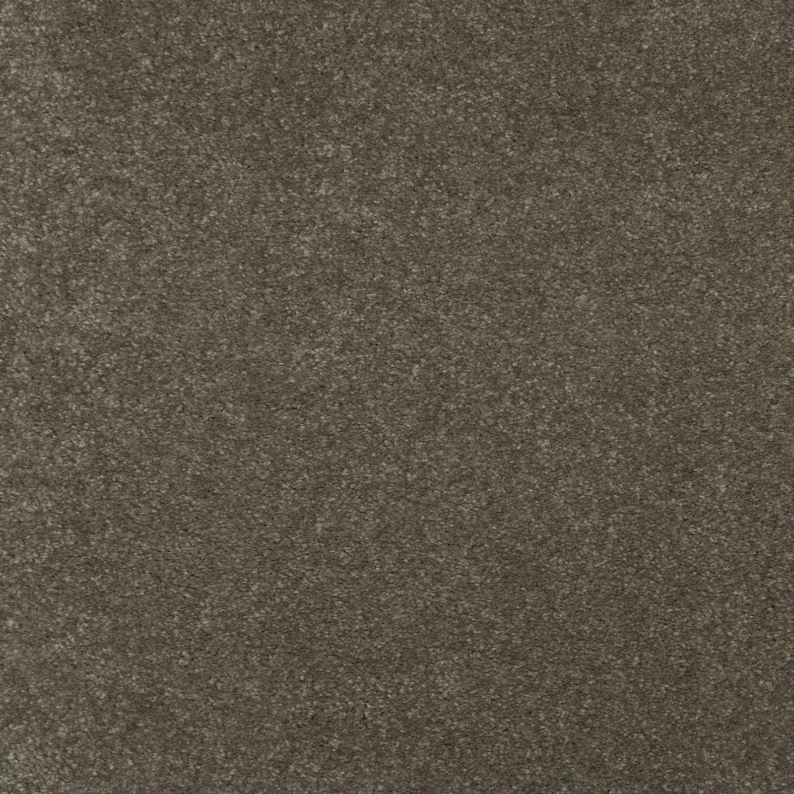 Mohawk Striking Option in Hearthstone, Carpet product detail
