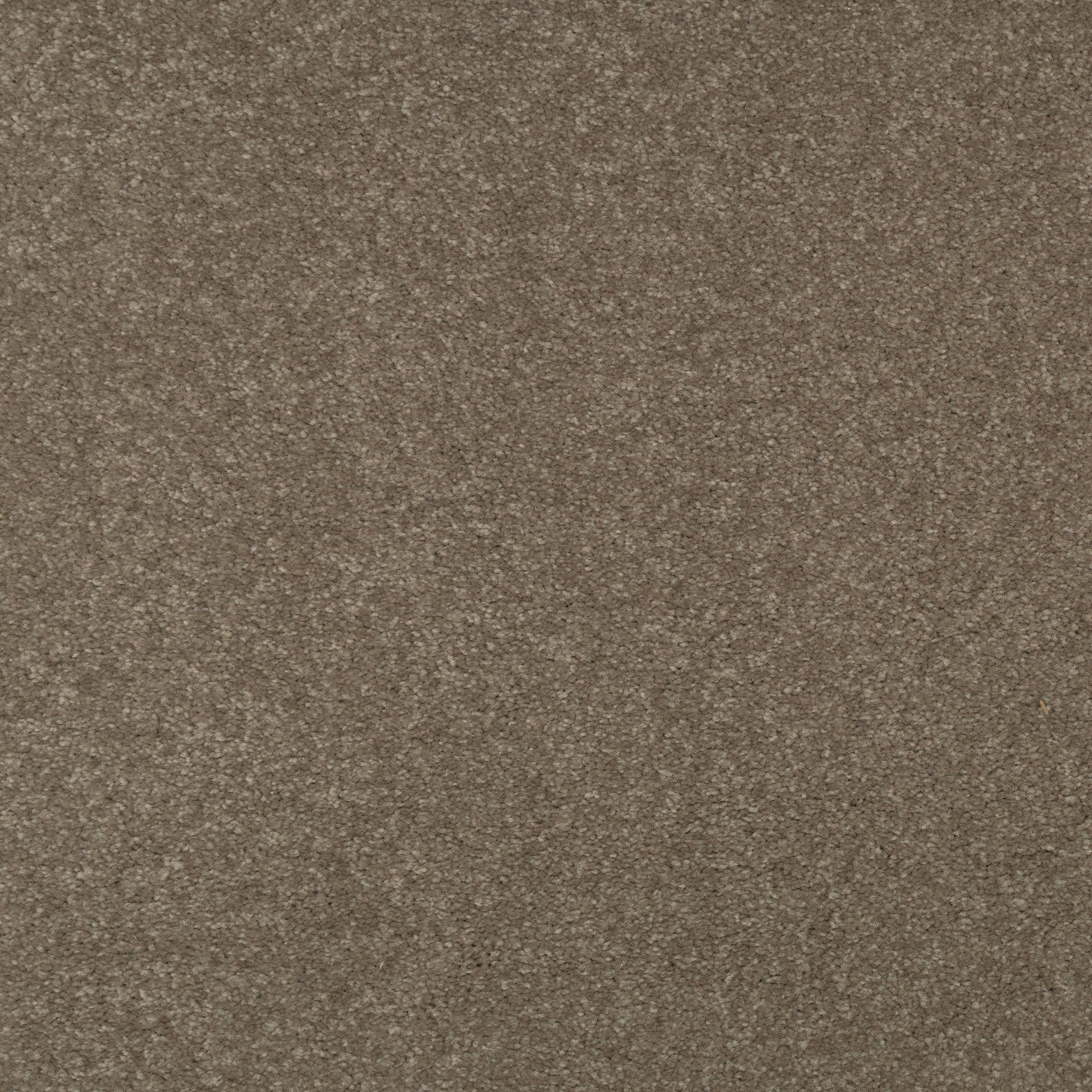 Mohawk Striking Option in Melody, Carpet product detail