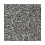 Mohawk Striking Option Carpet