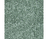 Mohawk Memorable View Carpet