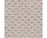 Mohawk Tailored Essence Carpet