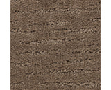 Mohawk Enduring Idea Carpet