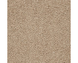 Mohawk Peaceful Elegance Carpet