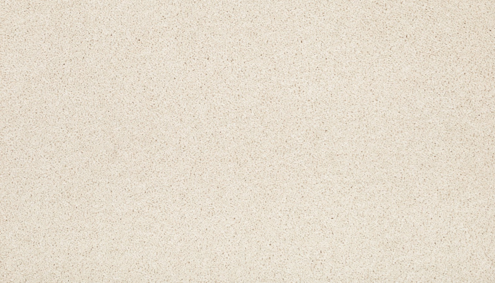 Mohawk Gentle Approach in Romano, Carpet product detail