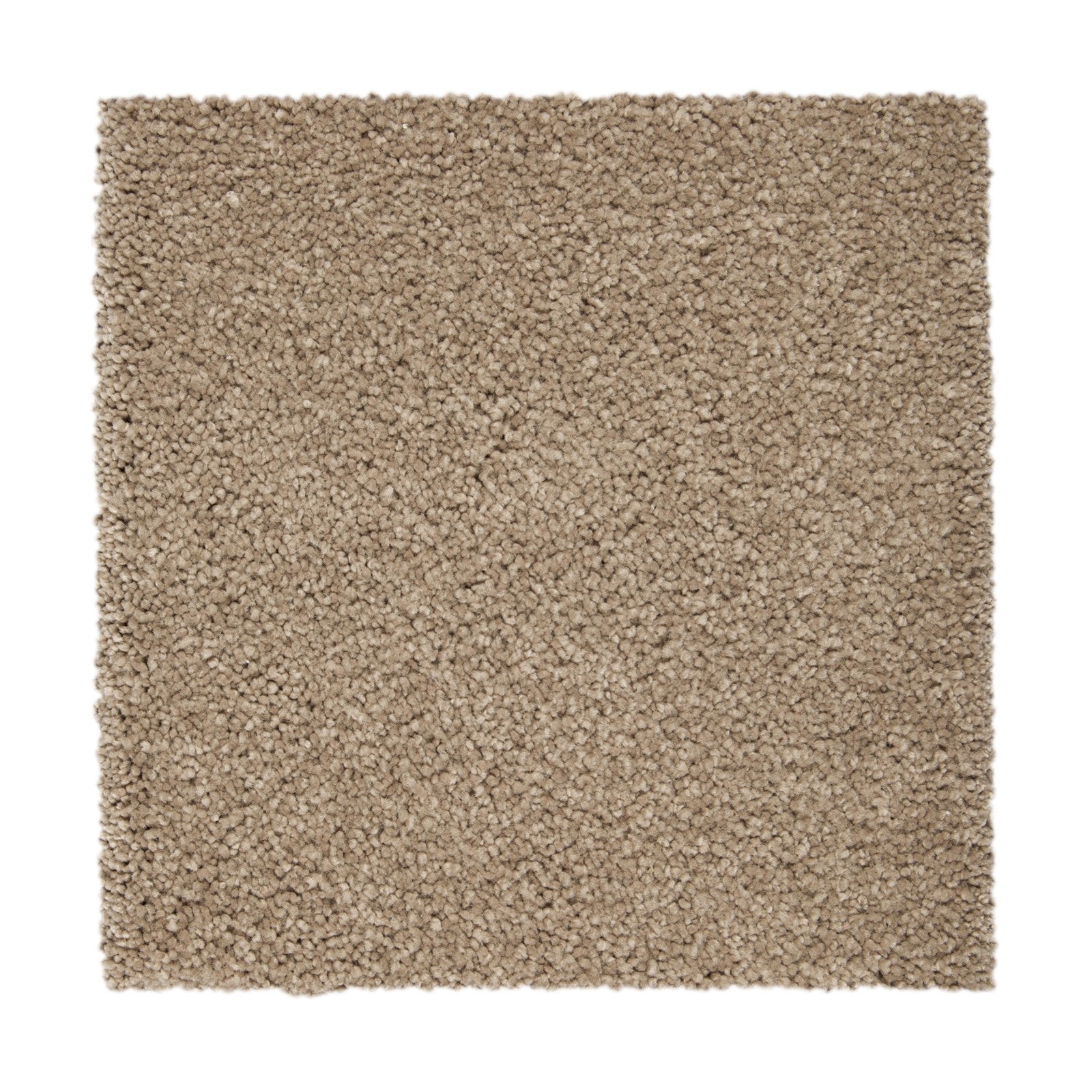 Mohawk Gentle Approach in Tudor Brown, Carpet product detail