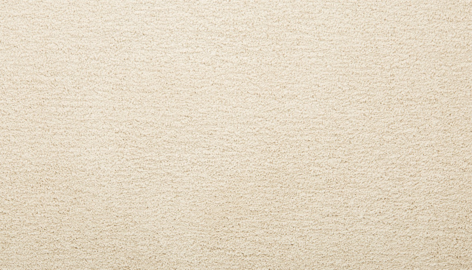 Mohawk Pleasant Touch in Romano, Carpet product detail