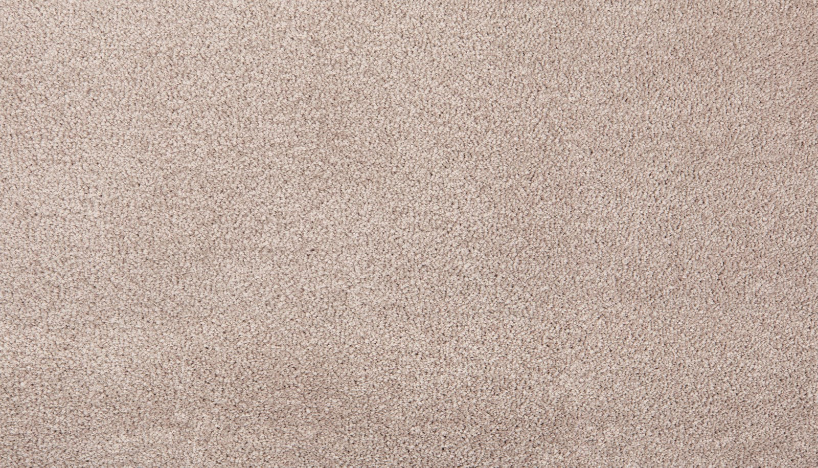 Mohawk Pleasant Touch in Artisan Hue, Carpet product detail