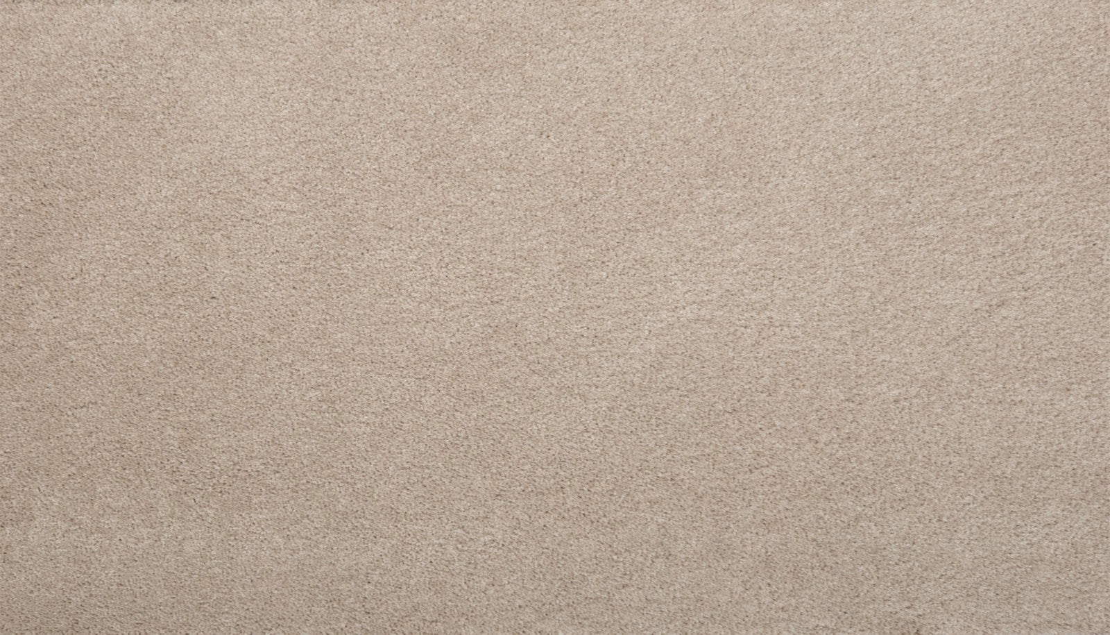 Mohawk Pleasant Touch in Aberdeen, Carpet product detail